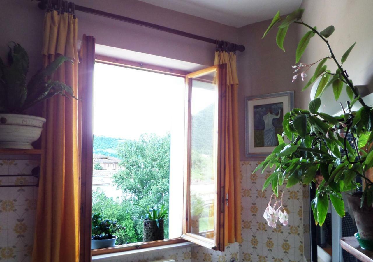 Bed and Breakfast La Finestra Sul Fiume Фоссомброне Екстер'єр фото